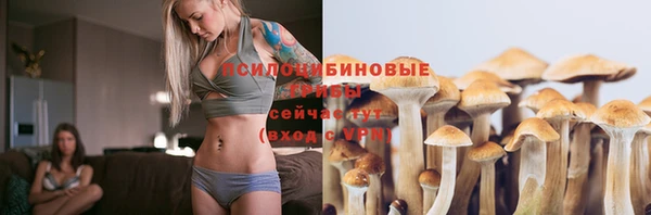 бошки Абдулино