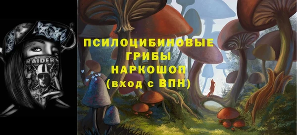 бошки Абдулино