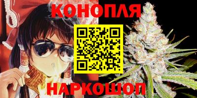 альфа пвп Заводоуковск
