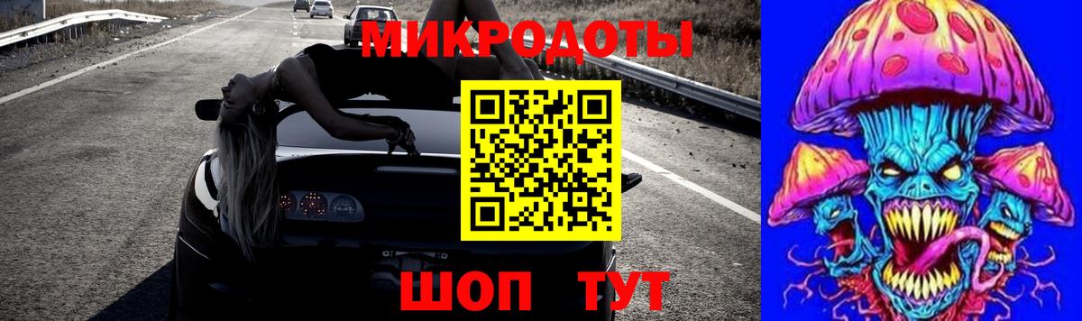 Псилоцибиновые грибы Psilocybe Новотроицк