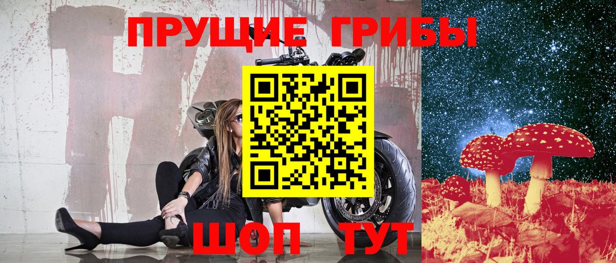 Новотроицк  Псилоцибиновые грибы MAGIC MUSHROOMS  Вход с VPN 